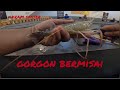 #18 MANCING UDANG GALAH KOLAM PADANG LUAS JERTEH