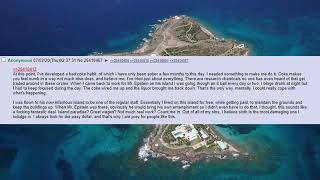 4Chan /x/ Board - Epstein's employee exposes all that happened (repost)