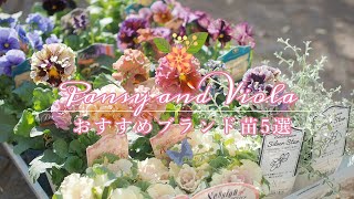 《冬こそ植えたいパンジービオラ＊大人気のブランド苗５選》今年発売の新色もご紹介《T's Gardenのガーデニング》