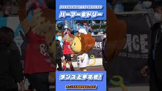 横浜FCサポにダンスを披露するハーマーとドリー【横浜FC×いわきFC】#shorts #ハーマーとドリー #横浜FC