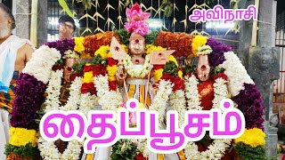 தைப்பூசம் வள்ளி தெய்வானை சுப்பிரமணிய சுவாமி அ/கு ஶ்ரீகருணாம்பிகை அம்மன் உடனமர் அவிநாசிலிங்கேஸ்வரர்