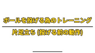 【感覚統合】「ボールを投げるためのトレーニング　実践編　〜片足立ちのバランス〜」