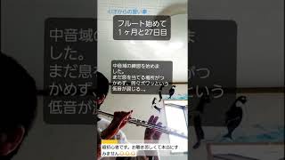 「61才からの習い事」フルート始めました。