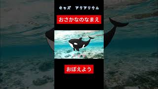 【子供向け 水族館】おさかなの名前を覚えよう！幼児や赤ちゃんが喜ぶ知育アニメ