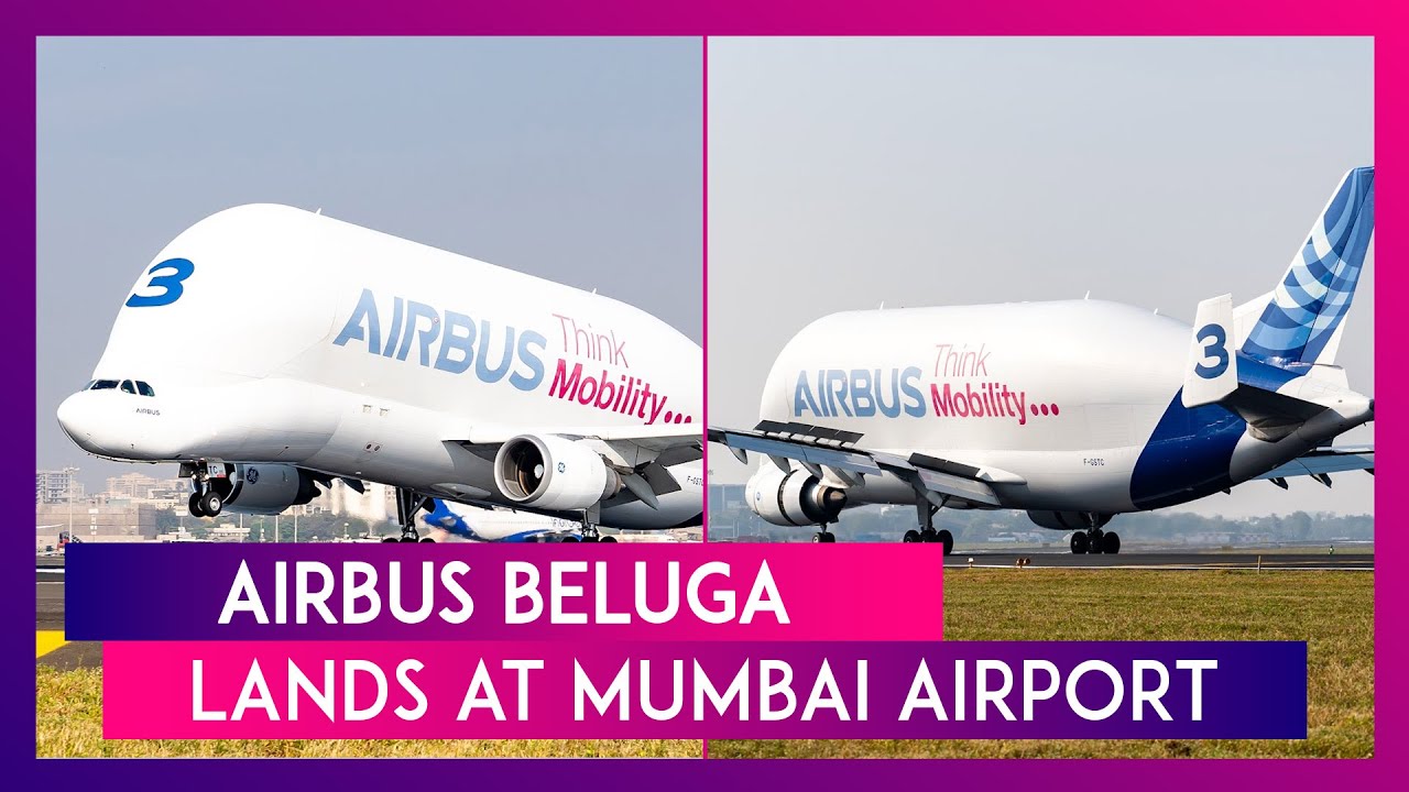 Airbus Beluga, World’s Largest Whale-Shaped Airplane, Lands At Mumbai ...