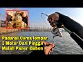 SUMPAH GAMPANG BANGET MANCING DISINI! Pesta Strike Di Kerajaan Ikan Sejagat