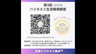 第3回ハリネズミ生活環境調査 #ハリネズミ #日本ハリネズミ協会