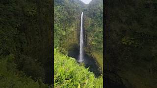 Akaka Falls Hawaii- is worth the hike! W/ Dad