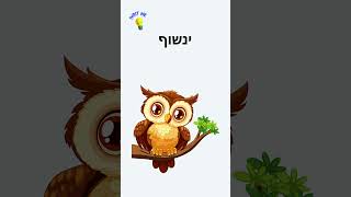 Learning Hebrew: Words That Start with the Letter י (Yod) 📝 #hebrewforkids  #jewishlearning #עברית