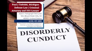 What is Disorderly Conduct in Michigan ( MCL 750.167) by Paul J. Tafelski