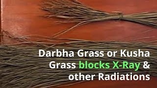 Darbha Grass blocks X-Ray, other Radiations