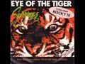 Survivor - Eye Of The Tiger