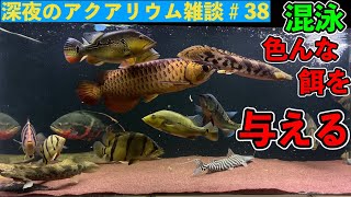 色んな餌を食わせまくる！普段の餌やり風景　大型魚水槽　『深夜のアクアリウム雑談38』