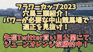 フラワーカップで狙いたい穴馬三頭紹介！先週Twitterの買い目公開でジューンオレンジ的中！難解な3歳限定戦に挑む！