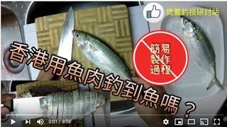 船釣: 香港用魚肉釣到魚嗎? [簡易製作過程] Fish meat bait Hong Kong Fishing