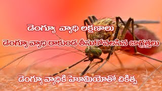 డెంగ్యూ వ్యాధి లక్షణాలు...తీసుకోవాల్సిన జాగ్రత్తలు | హోమియోలో మంచి చికిత్స | Dengue Causes Symptoms