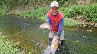 Ngga Ada yang tau kalau di sungai ini banyak di huni ikan Nila || Hunting fish