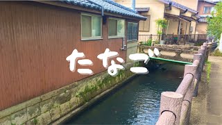 【タナゴ・小物釣り大阪】○○○農業用水路