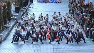 踊り侍゛・ふるさと祭り東京・2019年1月14日。