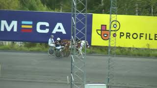 2024-08-24 Bondentravet Ponnylopp 7