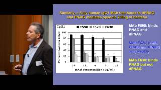 Molecular factors mediating immunity targeting Poly-N-Acetyl Glucosamine