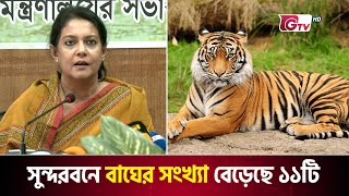 সুন্দরবনে বাঘের সংখ্যা বেড়েছে ১১ টি | Sundarban Tiger | GTV News