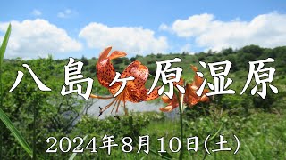 八島ヶ原湿原－2024年8月10日(土)