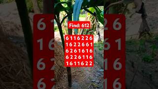 Observation Visual Test: 5 Seconds For You To Spot 612. Try Your Skills! #search #puzzle #shorts