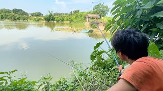 今天又掙一百多塊悠閒釣魚！魚情特別好，感覺到了黃骨魚的老家【野釣長空】