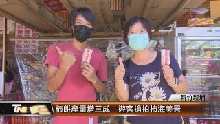 柿餅產量增三成  遊客搶拍柿海美景│T-NEWS聯播網