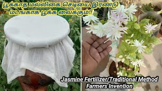 காய்ந்த மல்லிகை செடி துளிர்க்க |அதிக கிளைகள் | மிக மிக அதிக பூக்கள் பூக்கச் செய்யும்OrganicFERTLIZER