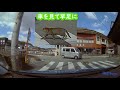 ちゃんと横断歩道を渡るネコ　cat crossing the road