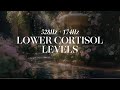 LOWER YOUR CORTISOL LEVELS | Solfeggio Frequency 528+174Hz