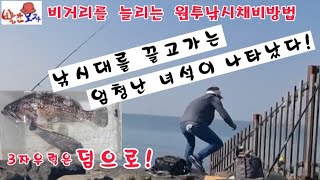 시화방조제 원투낚시하다 만난 엄청난 물고기를 소개합니다...  #시화방조제 #시화방조제낚시 #원투낚시