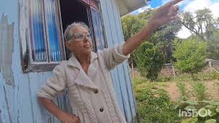 DONA FRANCISCA, TEM UMA ÁRVORE DE PERA COM UVAS EM DOCE GRANDE QUITANDINHA.