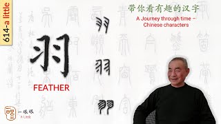 [CC] 羽 (feather) | 汉字趣谈 (Story of Chinese Characters) 614