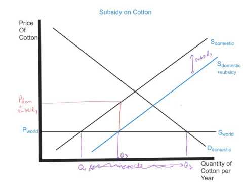 Subsidy Diagram Economics