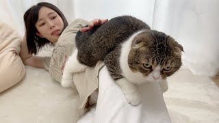 家でゴロゴロしていたら猫がお尻から離れなくなりましたw