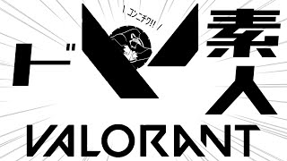 【 VALORANT 】  バグったから再起！　しぐさんのとこにおじゃまーまん！