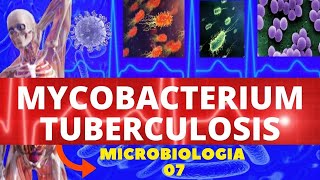 MYCOBACTERIUM TUBERCULOSIS - MICROBIOLOGIA (BACTÉRIAS PATOGÊNICAS) - TUBERCULOSE