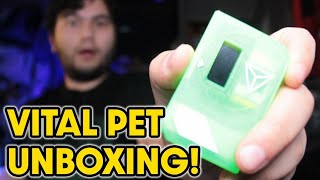 Vital Pet UNBOXING AND FIRST LOOK! The Future of the Vital Brace?