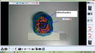 Recordex XSight HD Viewer - Introduction