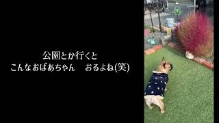 ふゆがはじまるよ！おこげさん。