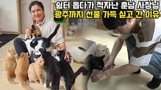 보호소 고양이 강아지 때문에 미용실 건물 팔고 2억 넘게 쓴 150마리 엄마의 순정