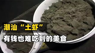 潮汕“土蝦”再現江湖！曾消失20多年，如今是有錢也難吃到的美食