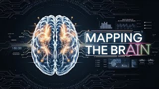 Neural Networks in Neuroscience Mapping the Human Brain with AI