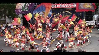 ダンスパフォーマンス集団　迫 -HAKU-  東京よさこい 2017