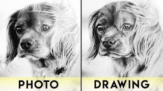 How to Draw Animals with Charcoal | REALISTIC DRAWING TUTORIAL