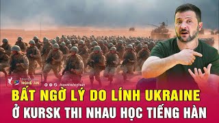 Bất ngờ lý do lính Ukraine ở Kursk thi nhau học tiếng Hàn