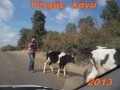 şarköy ve cıvar köyleri